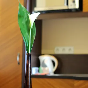 Hotell Baron